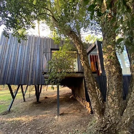 Quinta Do Pedregal & Vila Nova de Gaia