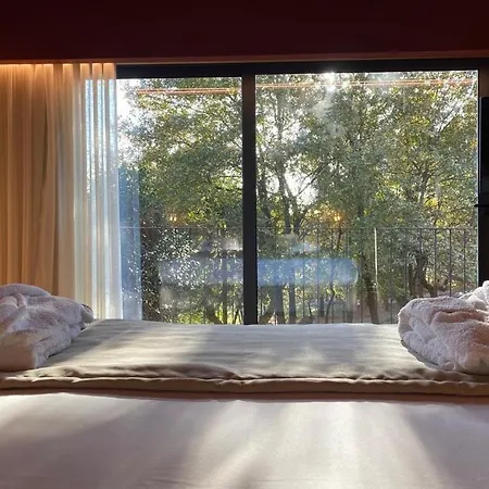 Quinta Do Pedregal Hotel&spa Hotel