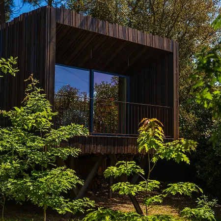 Quinta Do Pedregal Hotel&spa Hotel Vila Nova de Gaia